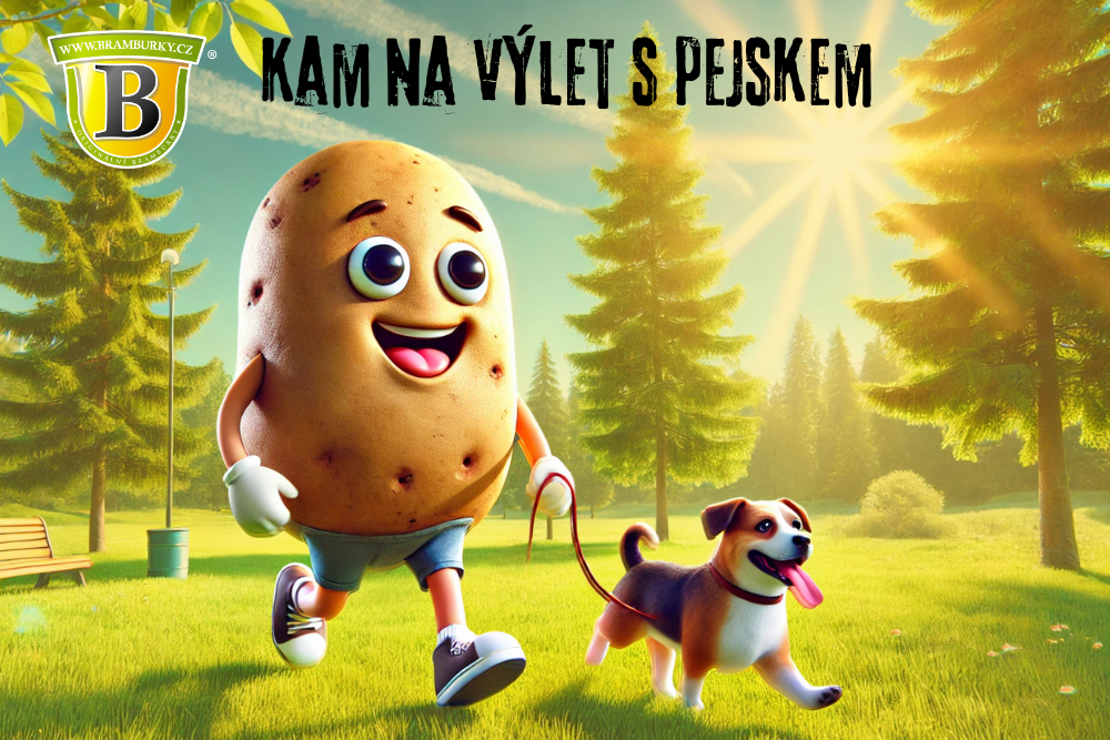 Kam na výlet s pejskem